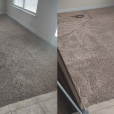 Trashed Carpet in Rental Property in Madison, AL