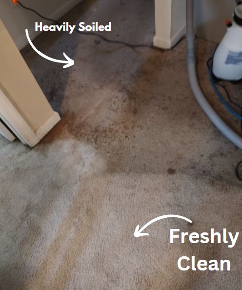 Heavily Soiled Carpet Cleaning in Harvest, AL