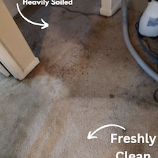 Heavily Soiled Carpet Cleaning in Harvest, AL